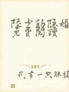 陆少的隐婚甜妻免费阅读