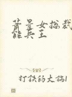萧晨女总裁的全能兵王
