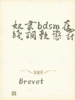 奴隶bdsm在线调教惩罚