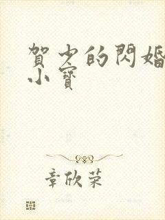 贺少的闪婚暖妻小宝