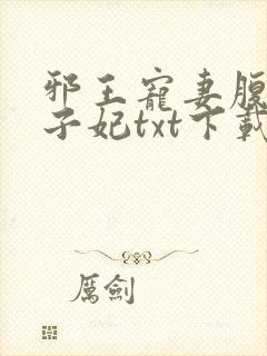 邪王宠妻腹黑世子妃txt下载