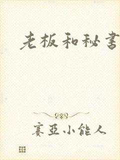 老板和秘书激情封面