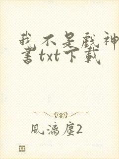 我不是戏神电子书txt下载封面
