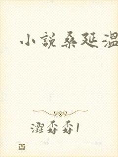小说桑延温以凡