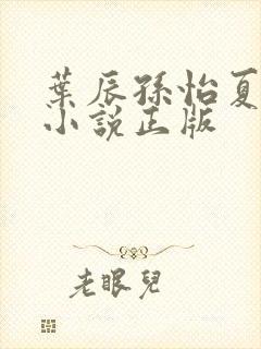 叶辰孙怡夏若雪小说正版