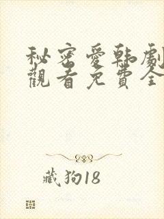 秘密爱韩剧在线观看免费全集电视剧高清封面