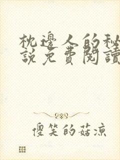 枕边人的秘密小说免费阅读全文