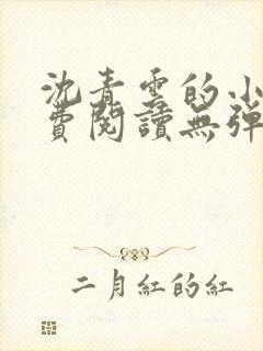 沈青云的小说免费阅读无弹窗