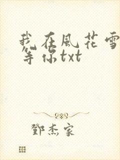 我在风花雪月中等你txt