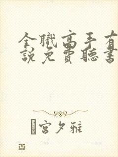 全职高手有声小说免费听书