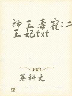 神王毒宠:二嫁王妃txt