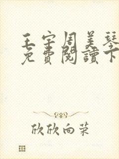 王宇周美琴小说免费阅读下载全文封面