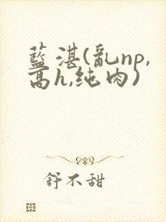 蓝湛(乱np,高h,纯肉)封面