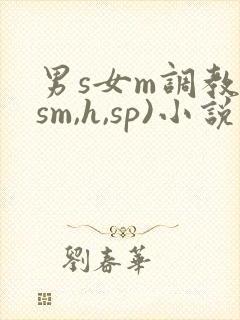 男s女m调教(sm,h,sp)小说