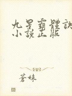 九星霸体诀龙尘小说正版