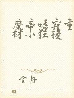 魔帝嗜宠重生废材小狂后封面