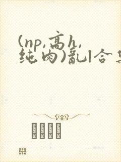 (np,高h,纯肉)乱l合集