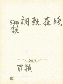 sm调教在线小说