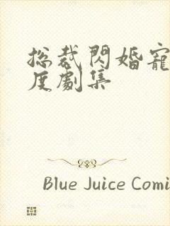 总裁闪婚宠妻无度剧集