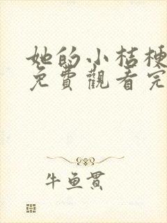 她的小桔梗短剧免费观看完整版高清