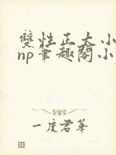 双性正太小男孩np笔趣阁小说