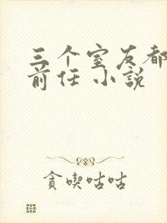 三个室友都是我前任 小说封面