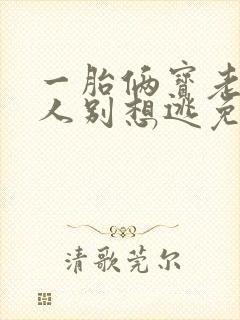 一胎俩宝老婆大人别想逃免费阅读