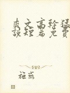 爽文高干猛文小说短篇免费阅读
