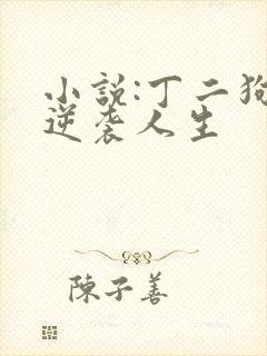 小说:丁二狗的逆袭人生封面