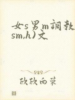 女s男m调教(sm,h)文
