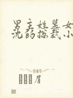 男主姓慕女主姓沈的总裁小说