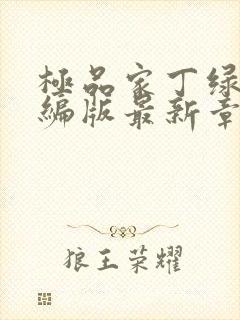 极品家丁绿帽改编版最新章节免费阅读