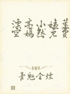 漂亮小姨叶凡司空嫣然免费阅读封面