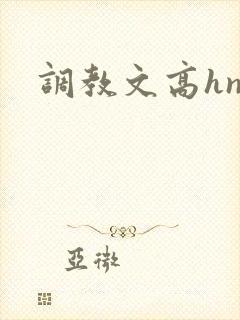 调教文高hnp封面