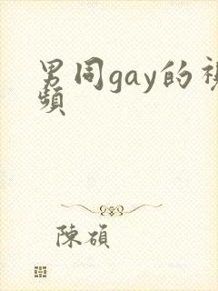 男同gay的视频