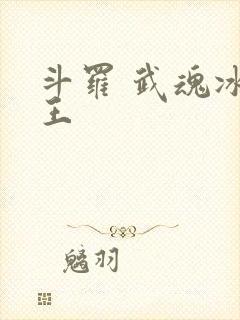 斗罗 武魂冰龙王