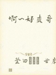 啊~好爽哥哥封面