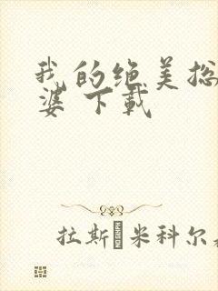 我的绝美总裁老婆 下载封面