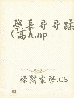 学长哥哥蹂躏你(高h,np