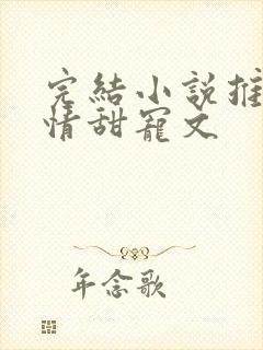 完结小说推荐言情甜宠文