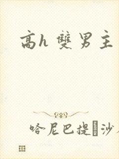 高h 双男主封面