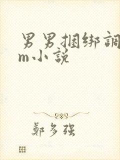 男男捆绑调教sm小说