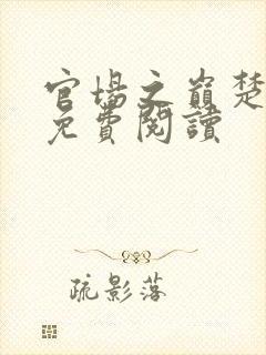 官场之巅楚东恒免费阅读
