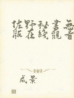 佐野秘书无删减版在线观看