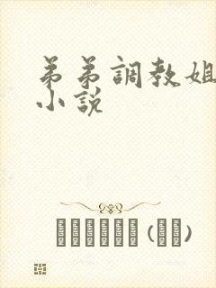 弟弟调教姐姐的小说封面