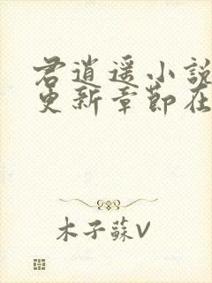 君逍遥小说最新更新章节在哪里看封面