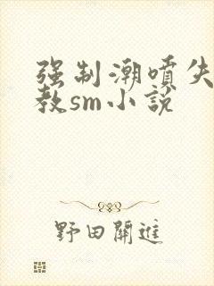 强制潮喷失禁调教sm小说