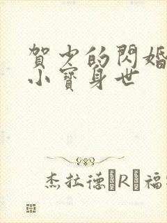 贺少的闪婚暖妻小宝身世