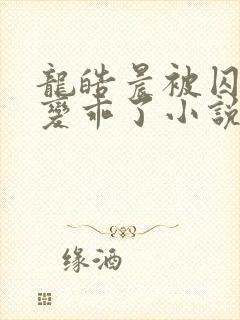 龙皓晨被囚禁后变乖了小说