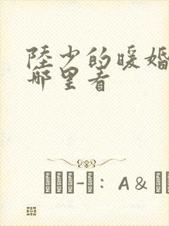 陆少的暖婚新妻哪里看